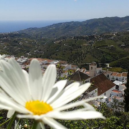 Casa Ana, Fantasticas Vistas A Frigiliana, El Mar Y La Montanaヴィラ エクステリア 写真