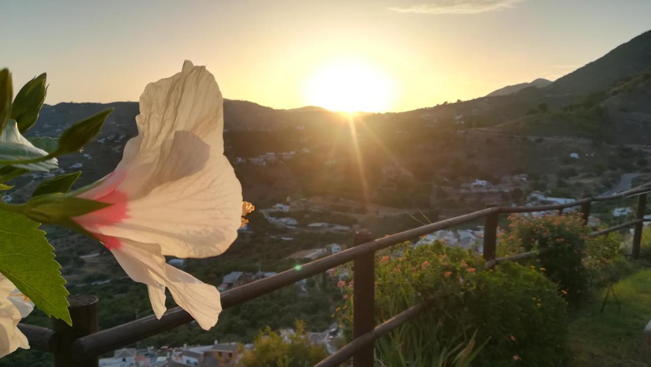 Casa Ana, Fantasticas Vistas A Frigiliana, El Mar Y La Montanaヴィラ エクステリア 写真