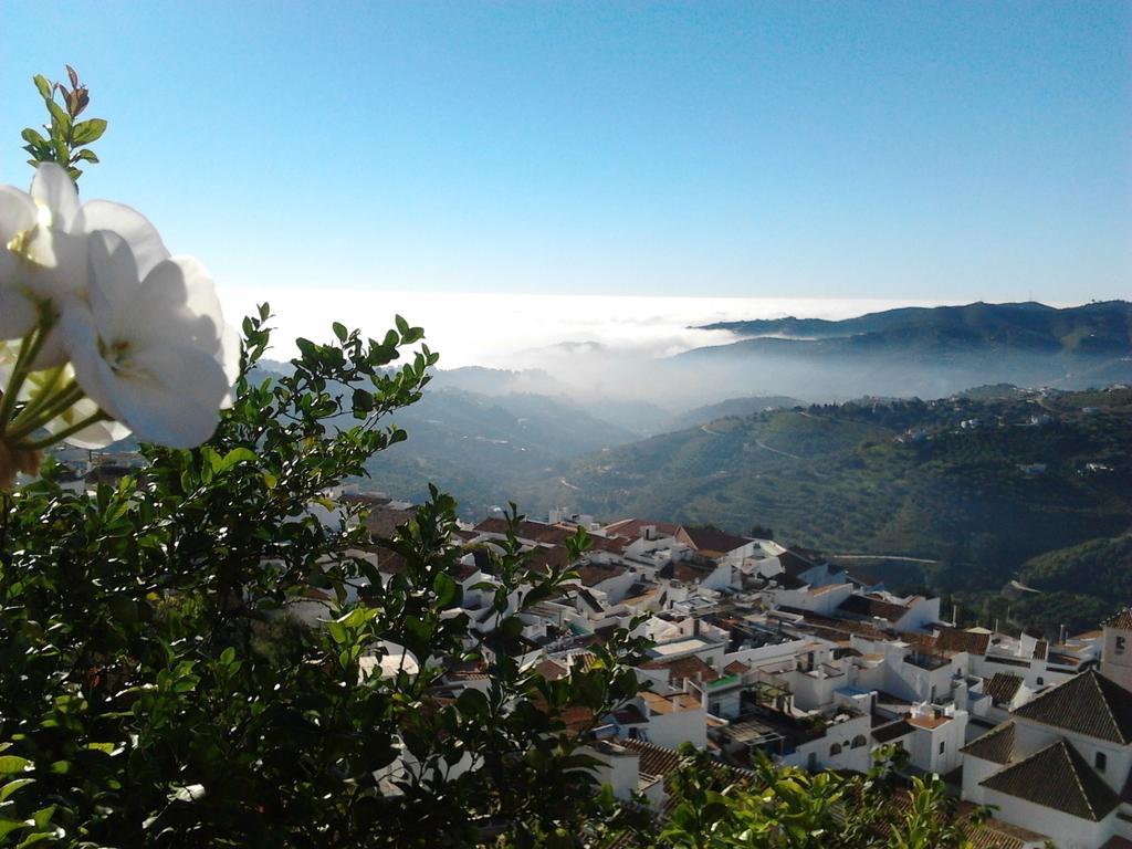 Casa Ana, Fantasticas Vistas A Frigiliana, El Mar Y La Montanaヴィラ 部屋 写真