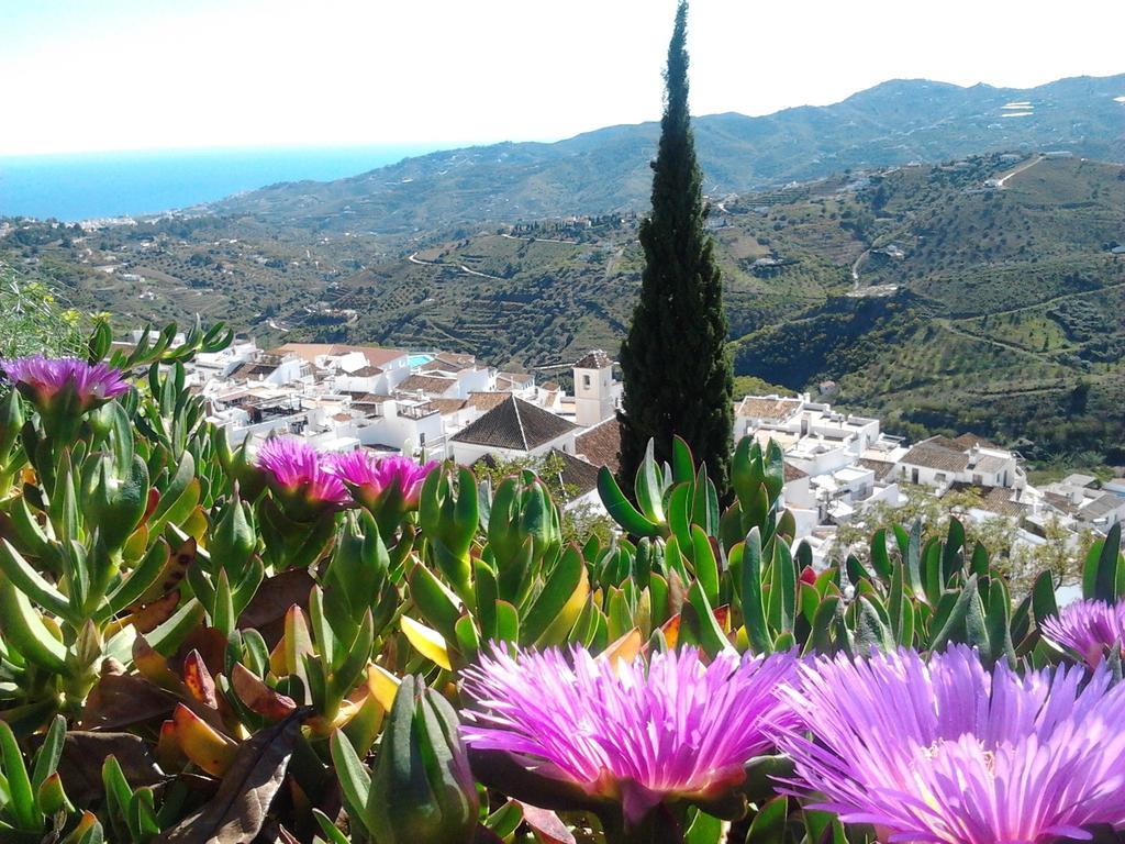 Casa Ana, Fantasticas Vistas A Frigiliana, El Mar Y La Montanaヴィラ 部屋 写真