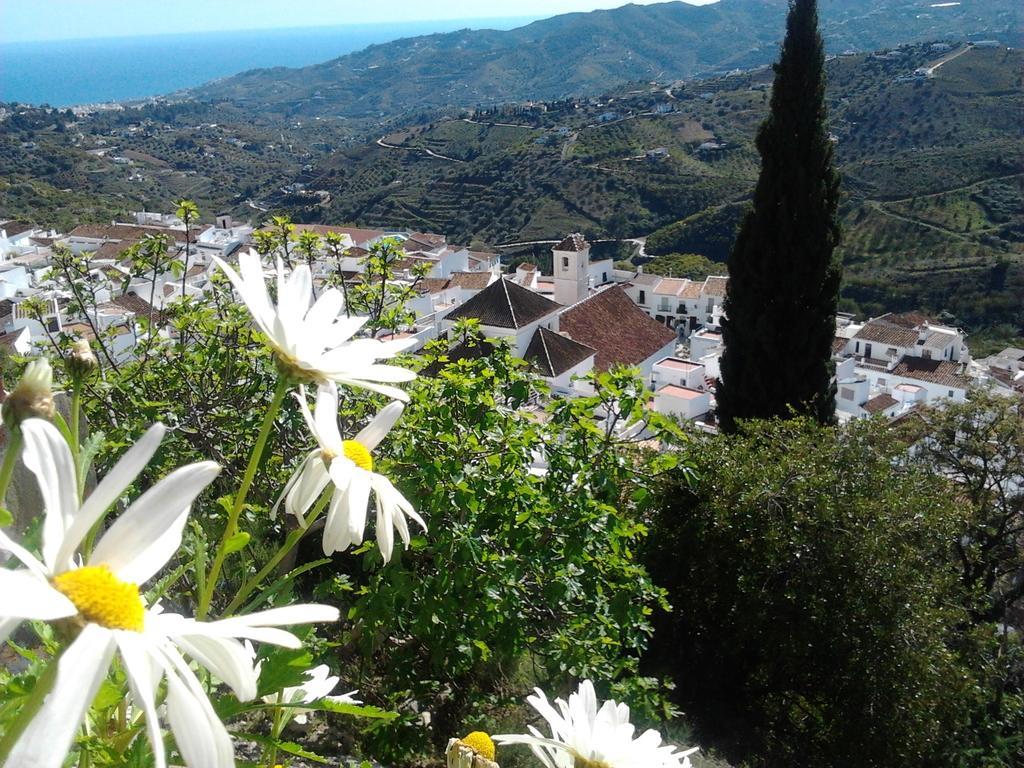 Casa Ana, Fantasticas Vistas A Frigiliana, El Mar Y La Montanaヴィラ 部屋 写真