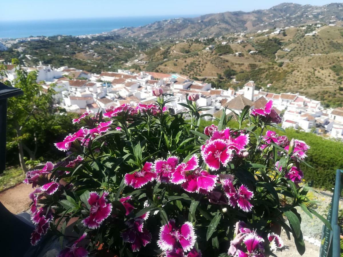 Casa Ana, Fantasticas Vistas A Frigiliana, El Mar Y La Montanaヴィラ エクステリア 写真