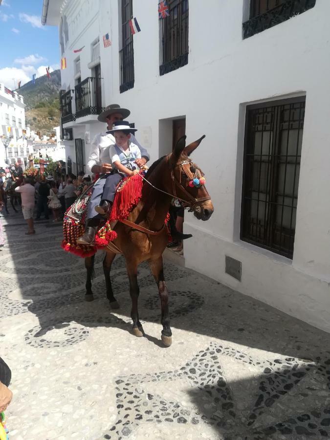 Casa Ana, Fantasticas Vistas A Frigiliana, El Mar Y La Montanaヴィラ エクステリア 写真