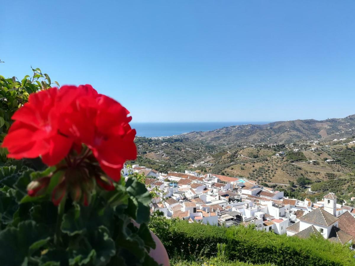 Casa Ana, Fantasticas Vistas A Frigiliana, El Mar Y La Montanaヴィラ エクステリア 写真