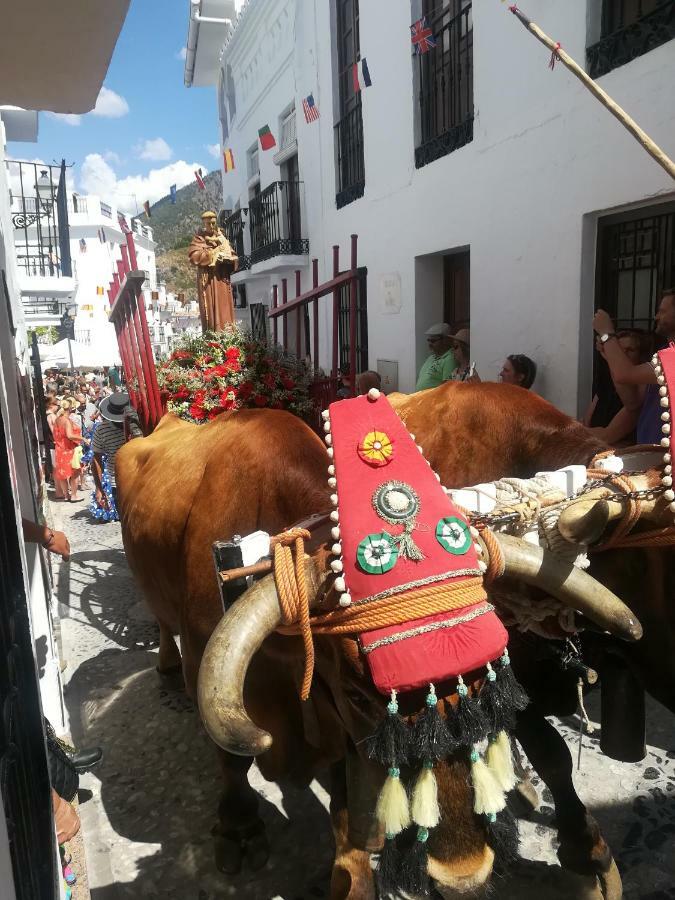 Casa Ana, Fantasticas Vistas A Frigiliana, El Mar Y La Montanaヴィラ エクステリア 写真