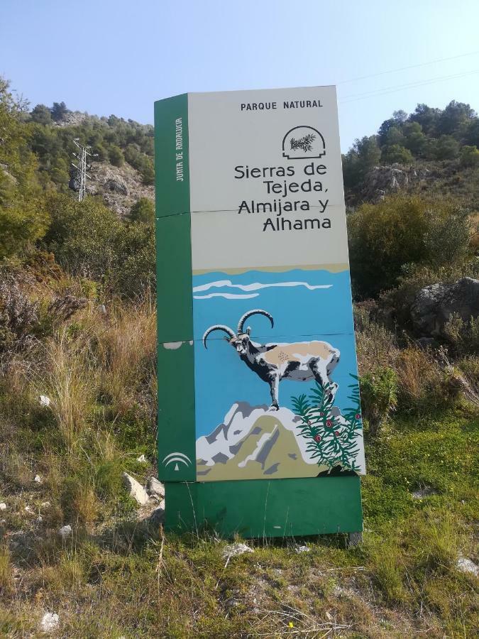 Casa Ana, Fantasticas Vistas A Frigiliana, El Mar Y La Montanaヴィラ エクステリア 写真